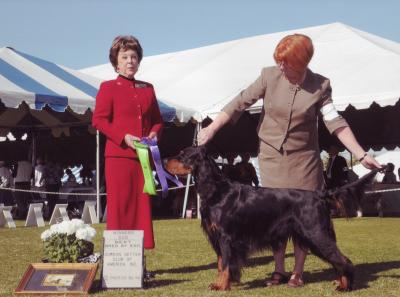 Winners Dog GSCA Specialty Paln Springs Jan 09